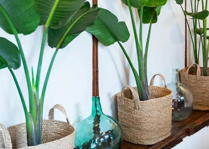 Tizon Station touristique Garachico (Tenerife)