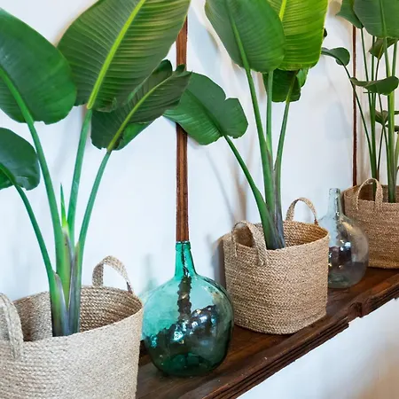 Tizon Ośrodek wypoczynkowy Garachico (Tenerife)