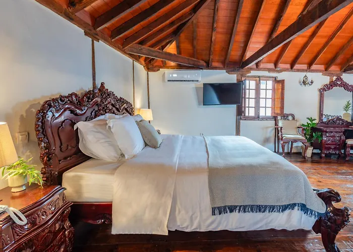 Tizon Garachico (Tenerife)